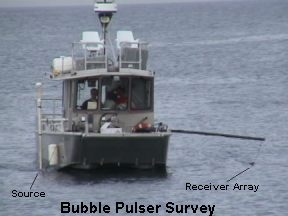 Bubble Pulser Survey